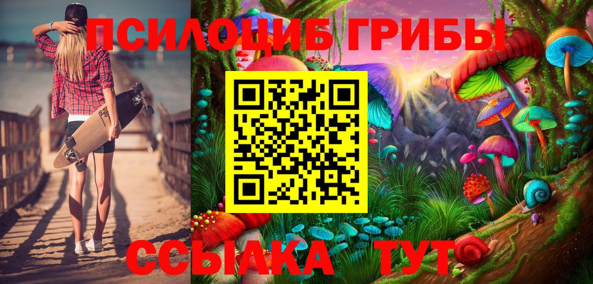 Псилоцибиновые грибы Cubensis Красный Сулин